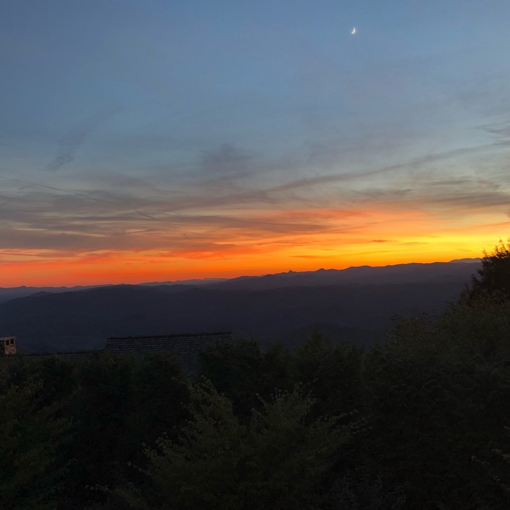 Meet your Posher, Alisa